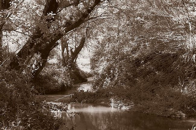 CRW_2994 Near Durance.tif