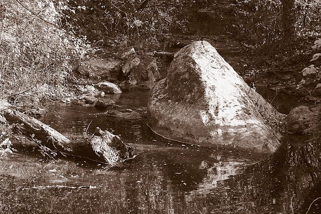 CRW_2368 Stone in Aiguebrun.tif