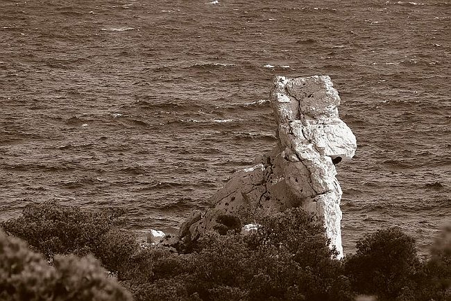 CRW_5226 The Dog.tif