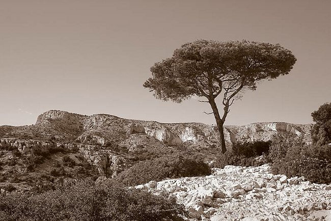 CRW_5352 Puget massif.tif