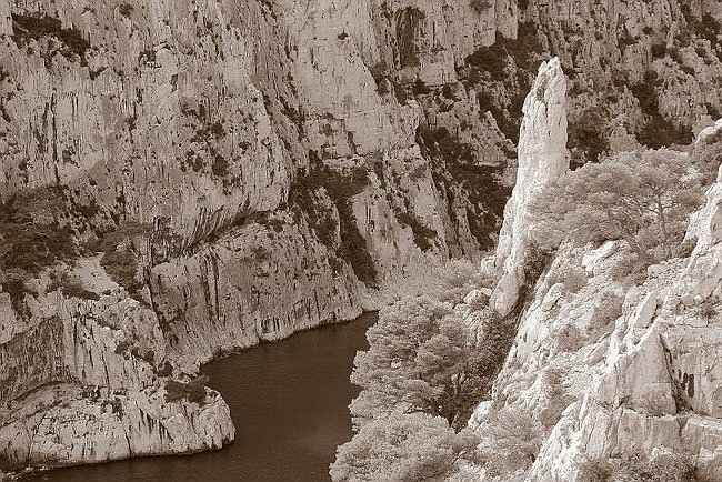 CRW_5329 Devils finger.tif