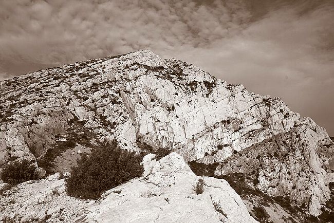 CRW_5096 Le Renard.tif