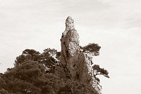 Capturefile: C:\Bilder Canon\New RAW\CRW_5227.CRW<br>CaptureSN: 870300696-1525227.027925<br>Software: C1 REBEL for Windows<br>