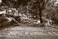 Capturefile: D:\Foto\Canon\Nytt RAW\CRW_1774.CRW<br>CaptureSN: 870300696-1171774.674323<br>Software: C1 REBEL for Windows<br>