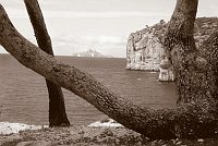 Capturefile: C:\Bilder Canon\New RAW\CRW_5281.CRW<br>CaptureSN: 870300696-1525281.188163<br>Software: C1 REBEL for Windows<br>