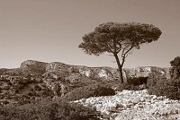 Capturefile: C:\Bilder Canon\New RAW\CRW_5352.CRW<br>CaptureSN: 870300696-1535352.200391<br>Software: C1 REBEL for Windows<br>