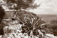 Capturefile: C:\Bilder Canon\New RAW\CRW_5327.CRW<br>CaptureSN: 870300696-1535327.197731<br>Software: C1 REBEL for Windows<br>