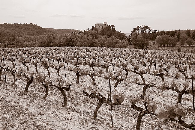 CRW_1285 Ansouis from east.tif