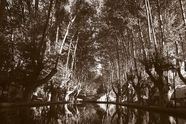 CRW_0831 Cucuron Etang.tif