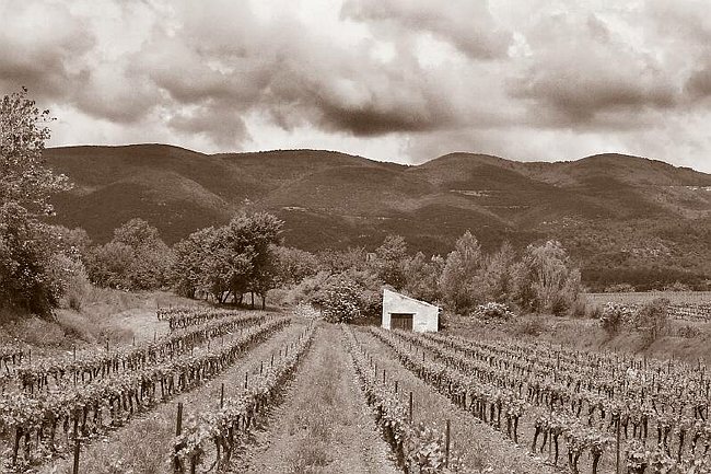 DCP_0331 Luberon hills.tif