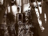 Capturefile: C:\Bilder Canon\Nytt RAW - Cucuron mai 2004\CRW_0591.CRW<br>CaptureSN: 870300696-1050591.488567<br>Software: C1 REBEL for Windows<br>