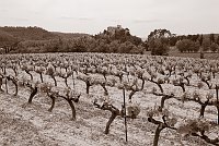 Capturefile: D:\Foto\Canon\Nytt RAW\CRW_1285.CRW<br>CaptureSN: 870300696-1121285.618140<br>Software: C1 REBEL for Windows<br>