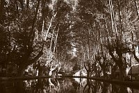 Capturefile: C:\Bilder Canon\Canon RAW Originals  751_999\CRW_0831.CRW<br>CaptureSN: 870300696-1080831.550362<br>Software: C1 REBEL for Windows<br>