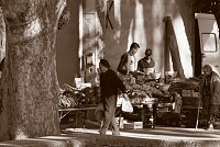 Capturefile: C:\Bilder Canon\Canon RAW Originals  500_750\CRW_0589.CRW<br>CaptureSN: 870300696-1050589.318739<br>Software: C1 REBEL for Windows<br>