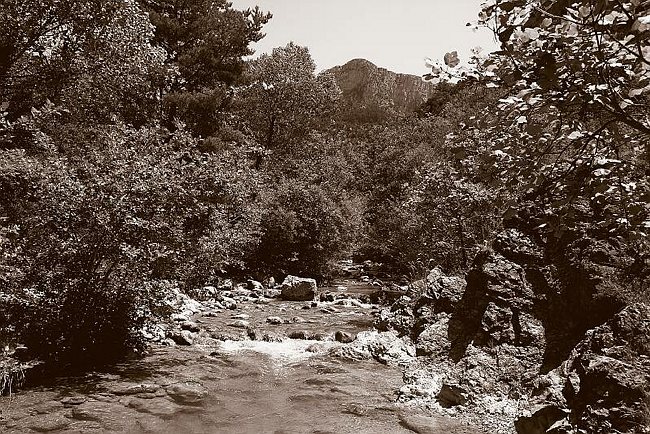 CRW_3999 Mainstream 1.tif