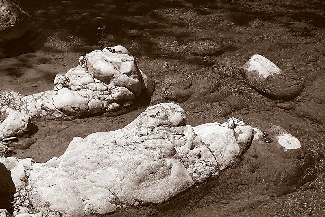 CRW_4002 Miniatures.tif