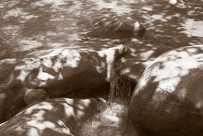 CRW_3975 Details 1.tif