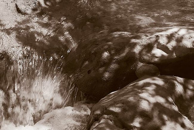 CRW_3976 Details 2.tif