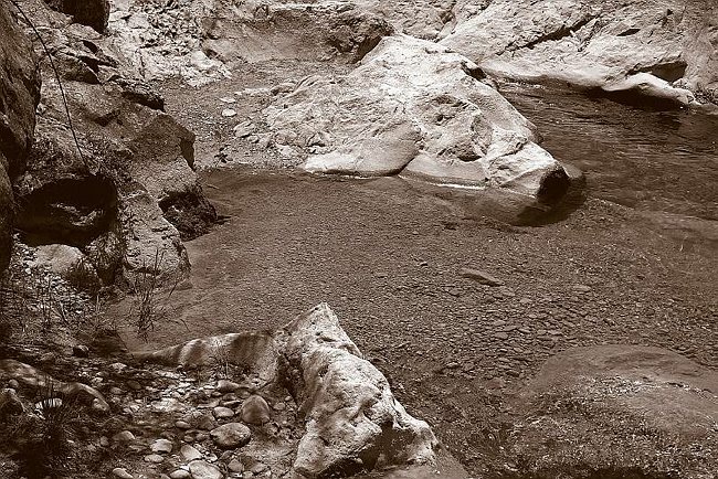 CRW_4048 Details 7.tif