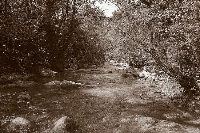 CRW_4059 Mainstream 4.tif