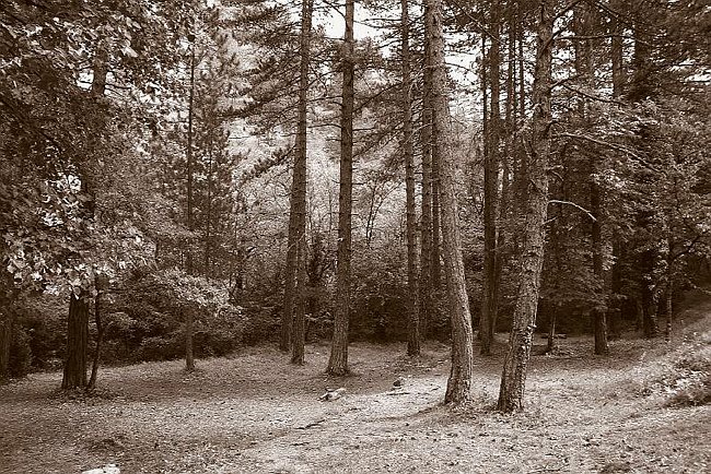 CRW_4700 Valbonnette.tif