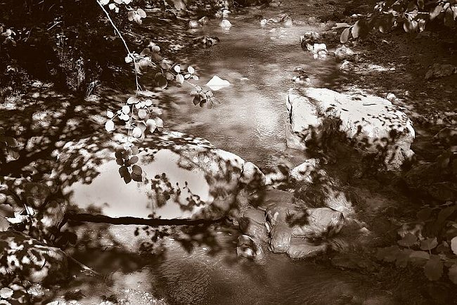 CRW_4719 Details 9.tif