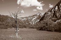 Capturefile: D:\Foto\Canon\Nytt RAW\CRW_4732.CRW<br>CaptureSN: 870300696-1474732.614820<br>Software: C1 REBEL for Windows<br>