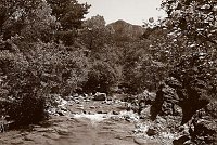 Capturefile: C:\Bilder Canon\New RAW\CRW_3999.CRW<br>CaptureSN: 870300696-1393999.417809<br>Software: C1 REBEL for Windows<br>