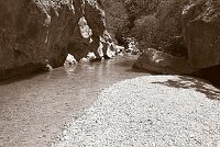 Capturefile: C:\Bilder Canon\New RAW\CRW_4012.CRW<br>CaptureSN: 870300696-1404012.418787<br>Software: C1 REBEL for Windows<br>