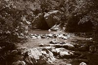 Capturefile: C:\Bilder Canon\New RAW\CRW_3957.CRW<br>CaptureSN: 870300696-1393957.412445<br>Software: C1 REBEL for Windows<br>