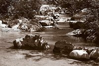 Capturefile: C:\Bilder Canon\New RAW\CRW_3973.CRW<br>CaptureSN: 870300696-1393973.414597<br>Software: C1 REBEL for Windows<br>