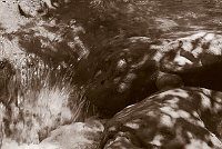 Capturefile: C:\Bilder Canon\New RAW\CRW_3976.CRW<br>CaptureSN: 870300696-1393976.414671<br>Software: C1 REBEL for Windows<br>