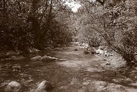 Capturefile: C:\Bilder Canon\New RAW\CRW_4059.CRW<br>CaptureSN: 870300696-1404059.424639<br>Software: C1 REBEL for Windows<br>